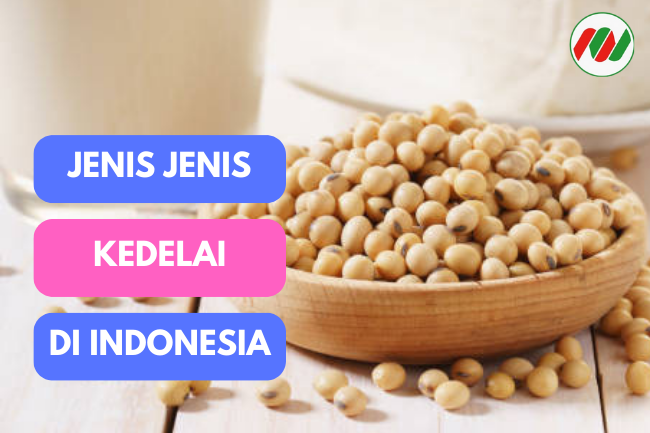 Menjelajahi Keanekaragaman Jenis Kedelai: Dari Kedelai Hitam Hingga Edamame